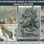 Ribuan ikan mati dan sampah menumpuk di Sungai Cisadane, Desa Tanjung Burung, Tangerang. Singkat dan kuat